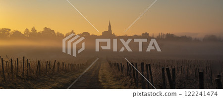 Vineyard landscape in Tabanac, Gironde, at sunrise with winter fog creating warm orange hues 122241474