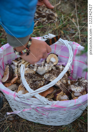 White wicker basket with mushrooms 122242427