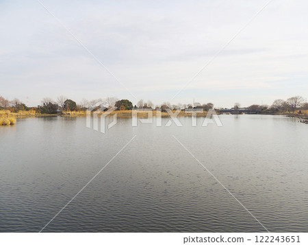 Shibayama Swamp 122243651