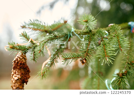 Close-up of Pine Cone with Decorative Ribbons. Close-up of Pine Cone with Decorative Ribbons. 122245370