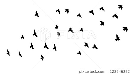 Flying birds silhouette flock. hand drawing. Not AI. Vector illustration 122246222