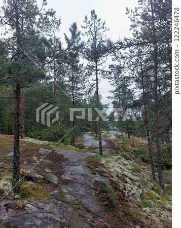 Lake Ladoga is a lake in the Republic of Karelia and Leningrad Oblast, the largest freshwater lake in Europe and the second largest lake in Russia after Lake Baikal. Pine forest on granite rocks 122246478