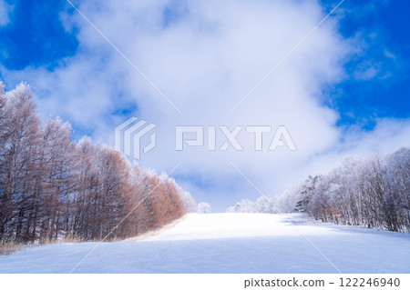 [Slope material] Silver slopes and blue skies [Nagano Prefecture] 122246940