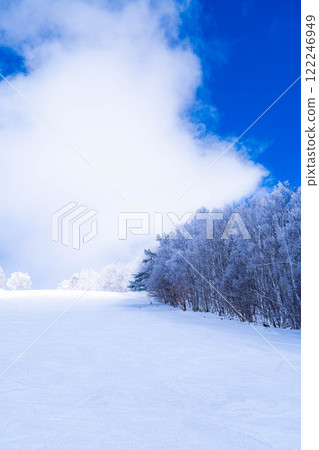 【滑雪場材質】銀色滑雪場與藍天【長野縣】 122246949