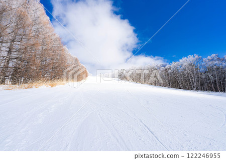 [Slope material] Silver slopes and blue skies [Nagano Prefecture] 122246955
