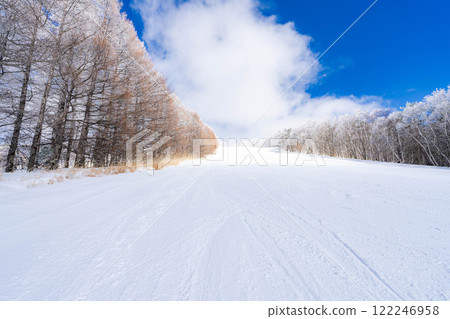 [Slope material] Silver slopes and blue skies [Nagano Prefecture] 122246958