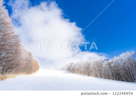 [Slope material] Silver slopes and blue skies [Nagano Prefecture] 122246959