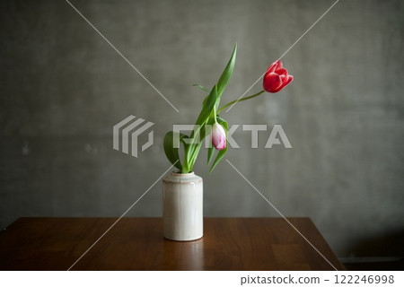 Broken Tulip 122246998