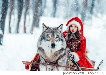 Grey wolf harnessed to sleigh carries Little Red Riding Hood to her grandmother through snowy winter forest. Grey wolf harnessed to sleigh carries Little Red Riding Hood to her grandmother through snowy winter forest. 122247118