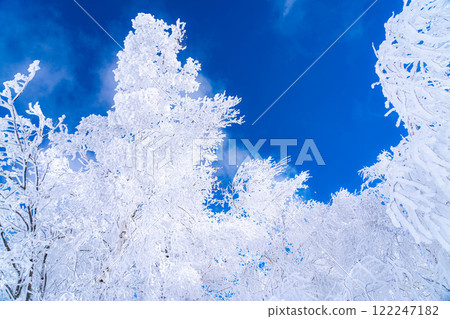 [Winter material] Silvery frost landscape [Nagano Prefecture] 122247182