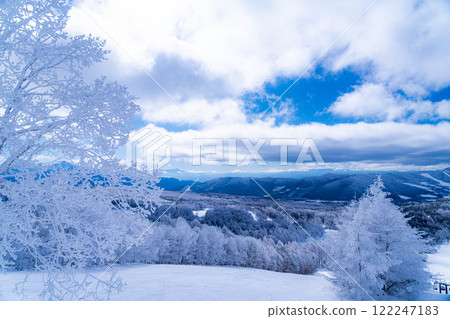 [冬季素材]銀霜風景[長野縣] 122247183