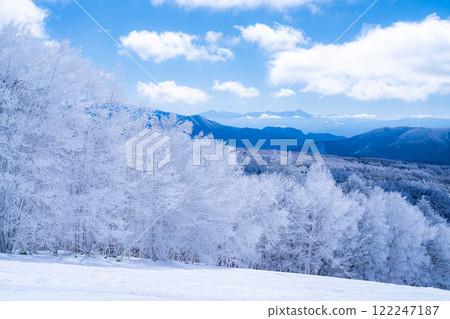 [Winter material] Silvery frost landscape [Nagano Prefecture] 122247187