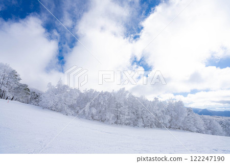 [Winter material] Silvery frost landscape [Nagano Prefecture] 122247190