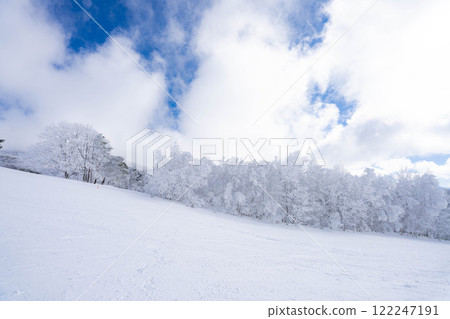 [冬季素材]銀霜風景[長野縣] 122247191