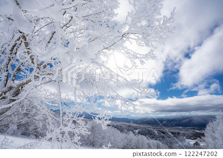 [Winter material] Silvery frost landscape [Nagano Prefecture] 122247202