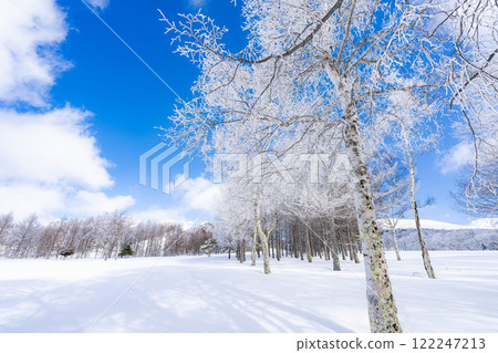 [Winter material] Silvery frost landscape [Nagano Prefecture] 122247213
