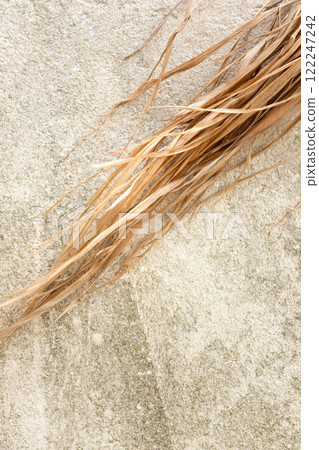 Abstract textured background with dry natural fibers plant leaves Abstract textured background with dry natural fibers plant leaves 122247242