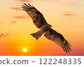 黑風箏和日落 122248335