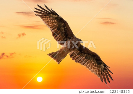 黑風箏和日落 黑風箏和日落 122248335