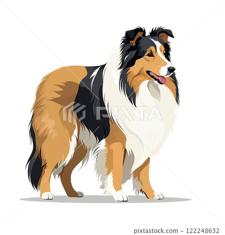 Full-body illustration of a stylish Rough Collie with decorative fur 122248632