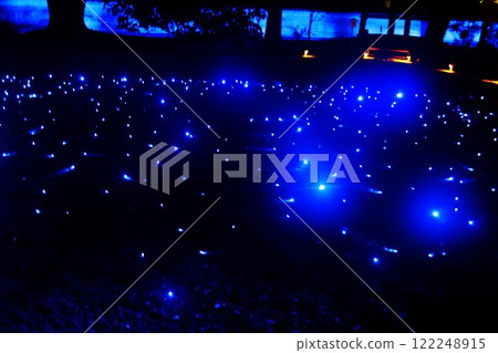 Blue light 122248915