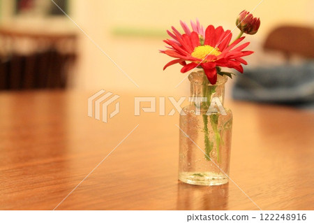 One flower One flower 122248916