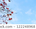 autumn 122248968