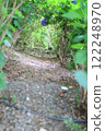 Where does it lead? 122248970