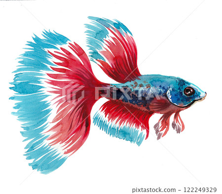 Aquarium fish. watercolour painting 122249329