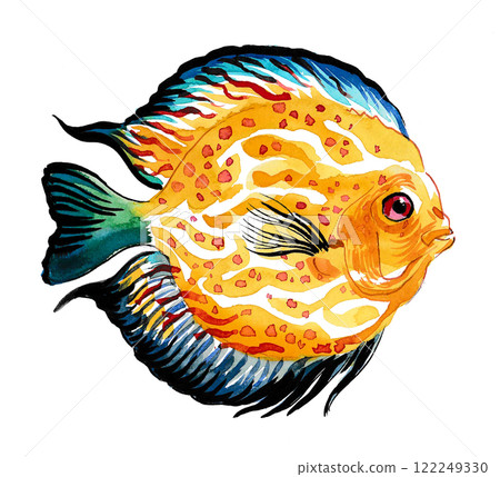 Coral fish. hand drawn watercolour painting 122249330