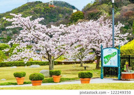 櫻花盛開的岡山美山公園 櫻花盛開的岡山美山公園 122249350