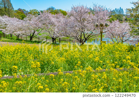 大阪櫻花博覽會紀念公園 122249470