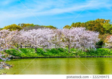 大阪櫻花博覽會紀念公園 122249471