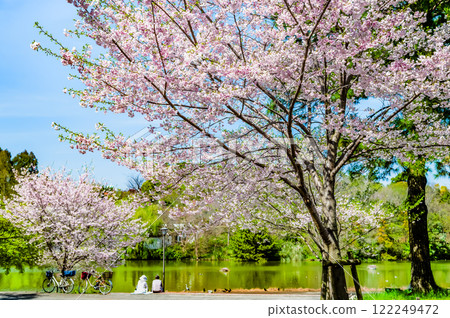 大阪櫻花博覽會紀念公園 大阪櫻花博覽會紀念公園 122249472
