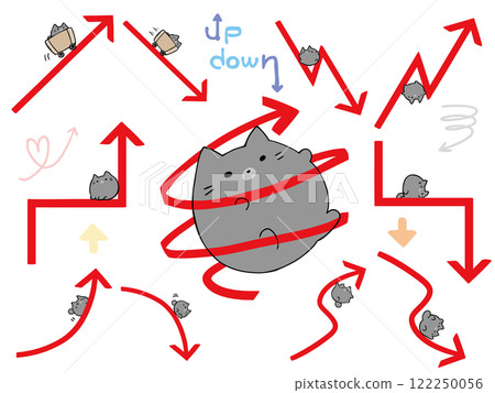 Arrow Summary Cat 122250056