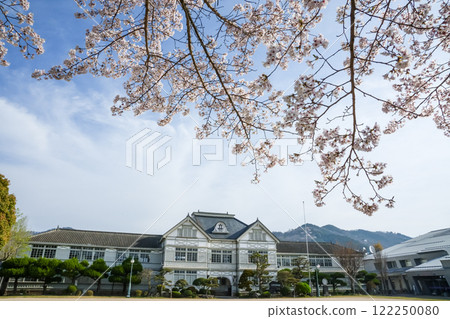 櫻花盛開的木製校舍：岡山縣真庭市“舊千鄉小學” 122250080