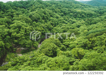 A mountain covered with fresh green A mountain covered with fresh green 122250392