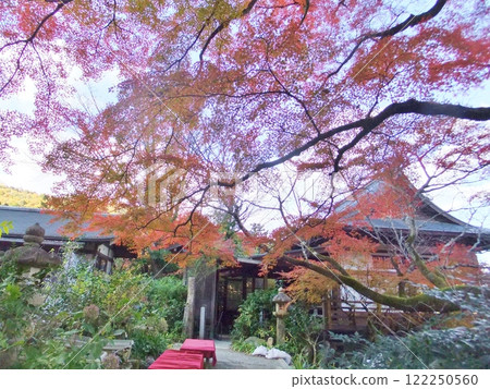 Autumn at Senkoji Temple in Arashiyama 122250560
