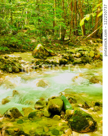 清新綠色的山澗溪流風光 清新綠色的山澗溪流風光 122250737