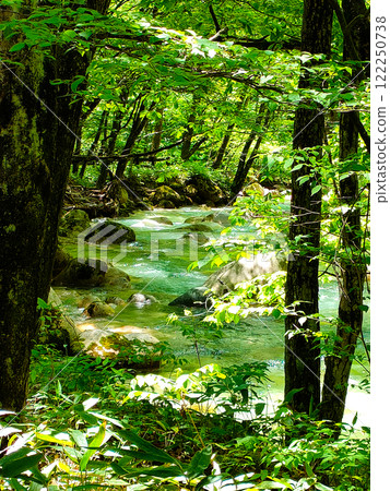 清新綠色的山澗溪流風光 清新綠色的山澗溪流風光 122250738