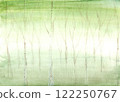 Woods	 122250767