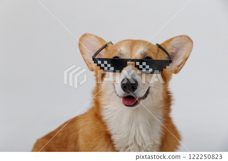 Cool corgi dog wearing pixelated sunglasses, smiling and looking stylish 122250823