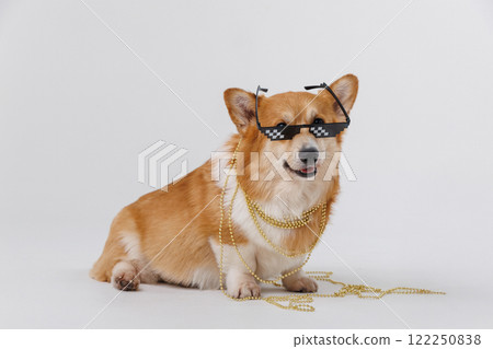 Stylish corgi dog in pixel sunglasses and gold chains exuding swag and charm for a trendy vibe Stylish corgi dog in pixel sunglasses and gold chains exuding swag and charm for a trendy vibe 122250838