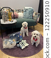Nice christmas 122250910