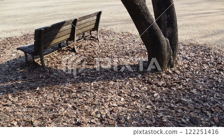 Fallen leaves and benches 122251416