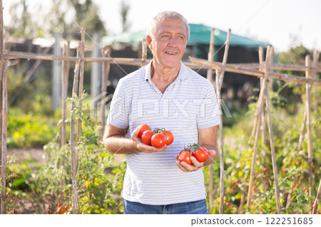 Elderly man posing with tomatoes in garden 122251685