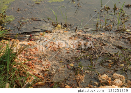 Food in the Garbage dump India 122251859