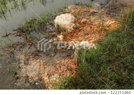 Food in the Garbage dump India 122251860