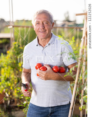 Elderly man posing with tomatoes in garden 122252026