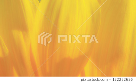 An artistic close-up of vibrant yellow flower petals, capturing the delicate textures and subtle gradients of color. This abstract floral image evokes feelings of warmth, serenity, and natural beauty, 122252656
